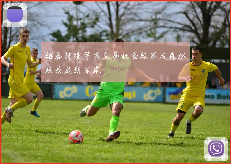 雄鹿持续寻求交易机会绿军与森林狼或成新东家